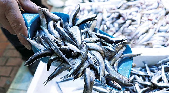 Hamside son 10 yılın en kötü sezonu