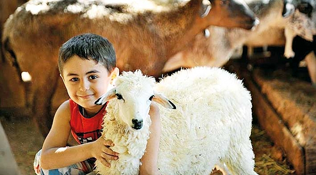 'Kontrol belgesi' aranacak