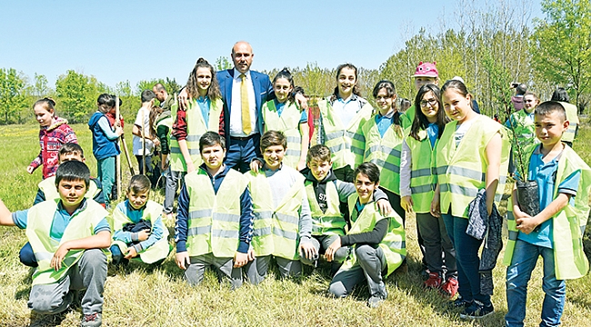 Tekkeköy yeşille bütünleşti