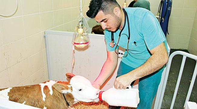 Yatılı hastane hizmeti ile  ölümler engelleniyor 