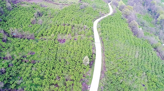 Yaylalar doğaseverleri kendisine çekiyor