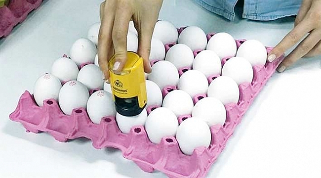 Yumurta üreticileri kod  uygulamasından memnun