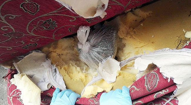 Çekyatın döşemesi içinde bonzai