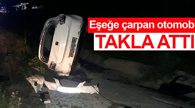 Eşeğe çarpan otomobil takla attı
