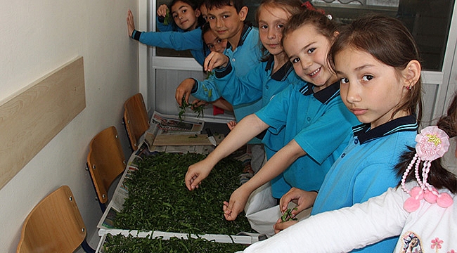 Okulda ipek böcekçiliği yapıyorlar
