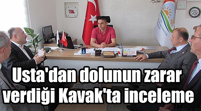 Usta'dan dolunun zarar  verdiği Kavak'ta inceleme
