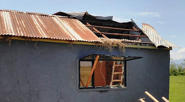 Kuş yuvası  yıkımı önledi