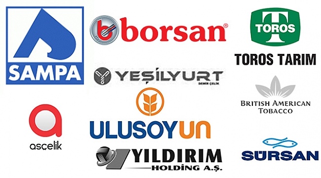 Samsun'dan 6 artı 3 şampiyon çıktı