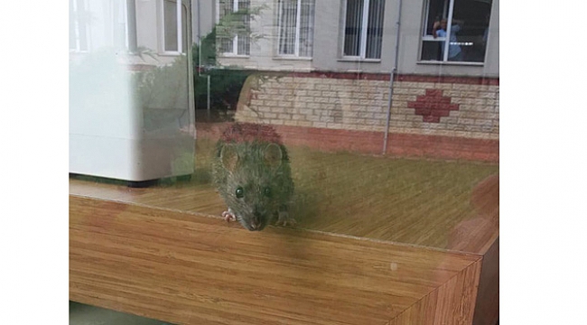 Tarım İl Müdürlüğü'nde skandal