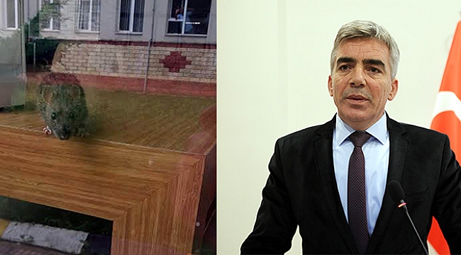 ‘UTANÇ İÇİNDEYİM’