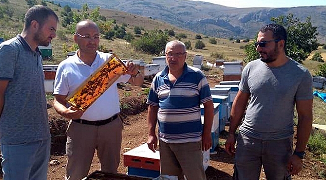 Arıcılar yaylalara çıktı