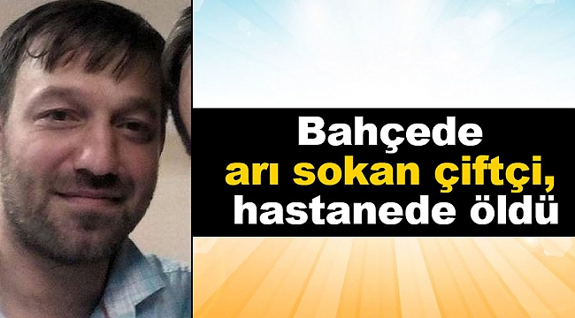 Bahçede arı sokan çiftçi, hastanede öldü