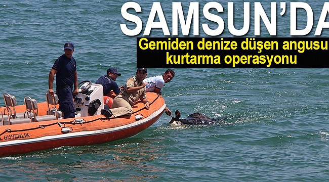 Gemiden denize düşen angusu kurtarma operasyonu 