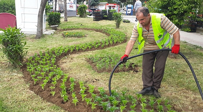 İlkadım doğaya ve  yeşile sahip çıkıyor