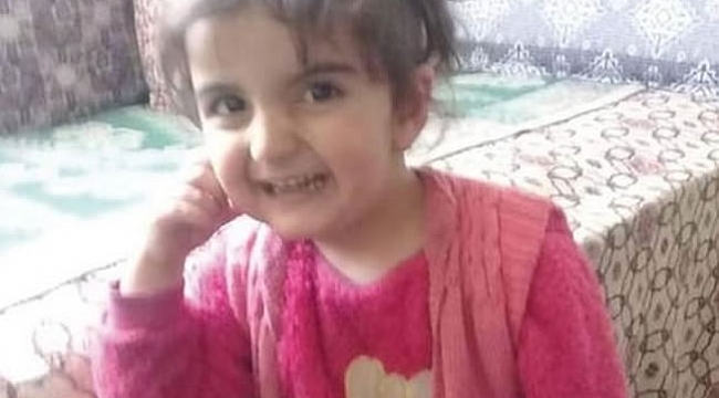 Kayıp Evrim'le ilgili sorgular devam ediyor