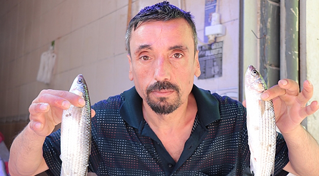 Kefal yüz güldürüyor