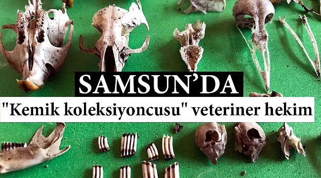 "Kemik koleksiyoncusu" veteriner hekim