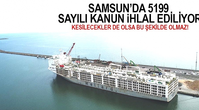 Kesilecekler  de olsa bu şekilde olmaz