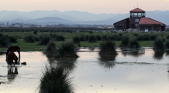 Kuş Cenneti'ne araç yasağı başladı