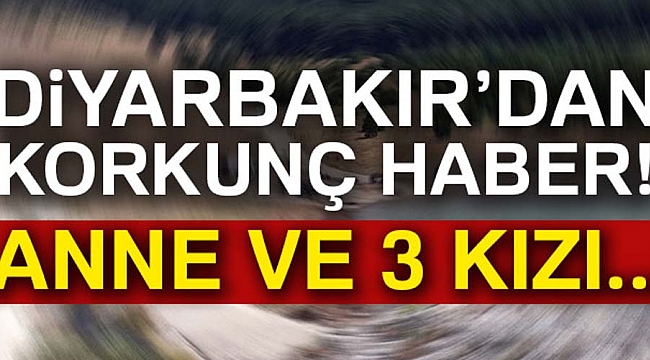 Piknik faciayla sonlandı