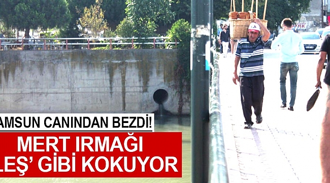 Samsun canından bezdi