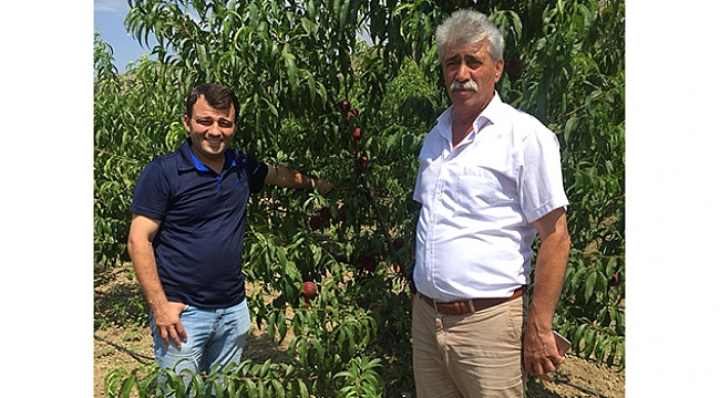 Şeftali Cenneti’nde şenlik var