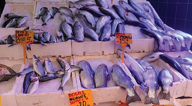 Vatandaş balığa doyacak