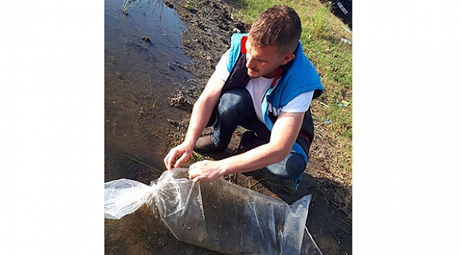 Yumurtlama döneminde balık avlamayın!