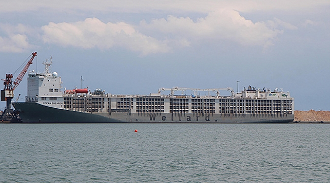 'Yüzen ahırlar' için Valilik'ten yeni karar