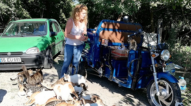 70 kedi ve 18 köpek besliyor