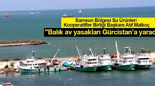"Balık av yasakları Gürcistan’a yaradı"