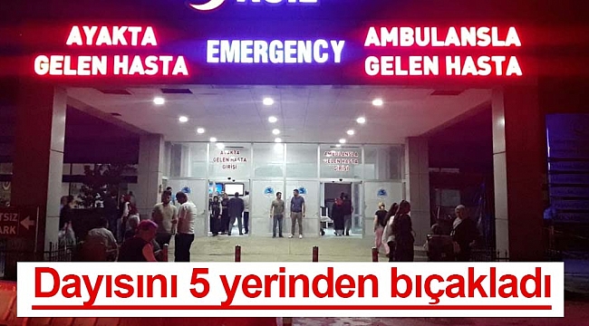 Dayısını 5 yerinden bıçakladı