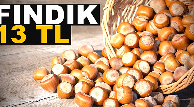 Fındık 13 TL