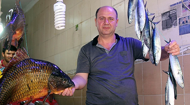 Karadeniz’de palamut patlaması