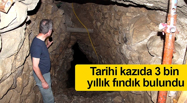 Tarihi kazıda 3 bin yıllık fındık bulundu