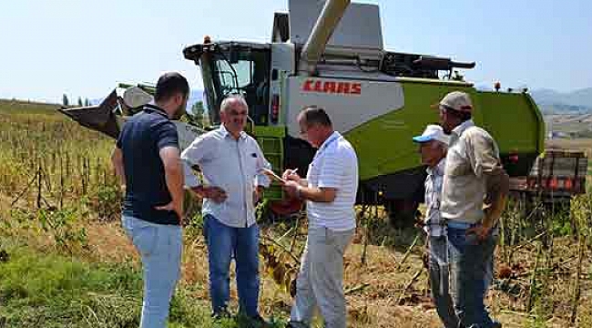 Ayçiçeği sezonu açıldı