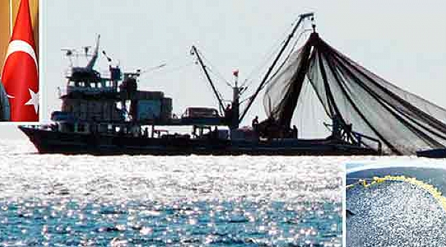 Denizlerde avlanma sezonu başlıyor