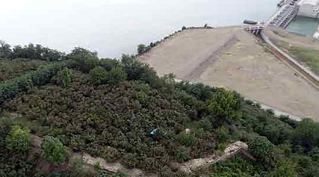 Fındık bahçesinden ‘tarih’ çıktı