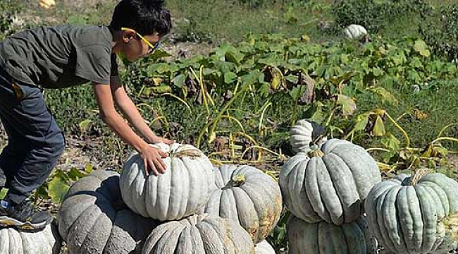 Hasadı bitmeden yüzde 80'i satıldı