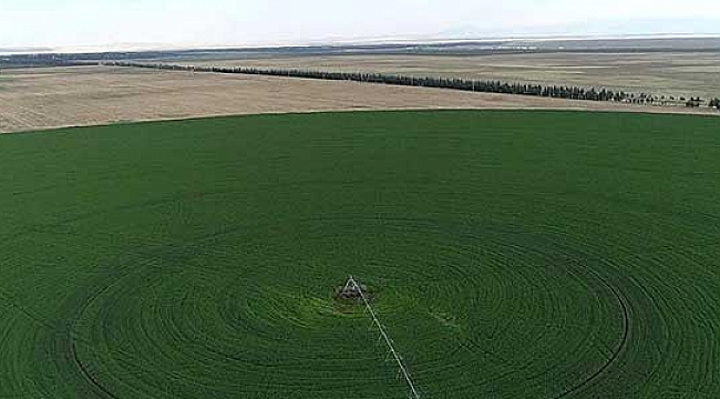 Hazine arazileri çiftçilere kiralanacak