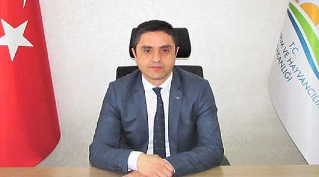 Meyve yetiştiricilerine  budama uyarısı geldi