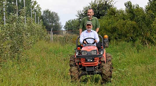 OMÜ’nün mısır tarlasında hasat zamanı