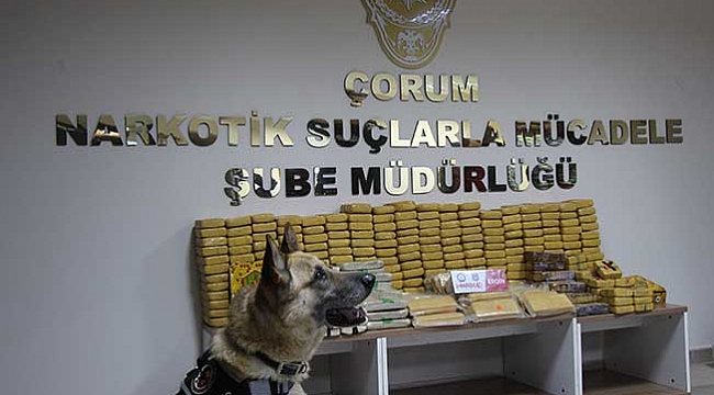 176 KİLO EROİN ELE GEÇİRİLDİ