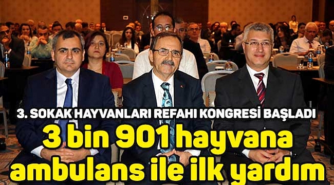3 bin 901 hayvana  ambulans ile ilk yardım