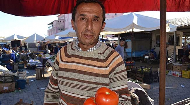 Domatesi 'tuta' hastalığı vurdu