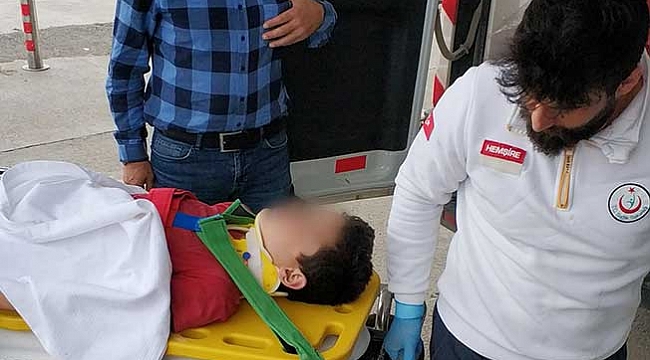 Elma ağacından düşen çocuk hastanelik oldu