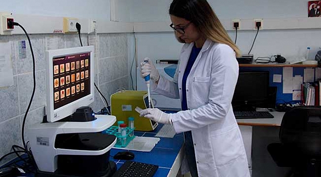 'İleri evre' meme kanseri hücrelerini öldüren çalışma