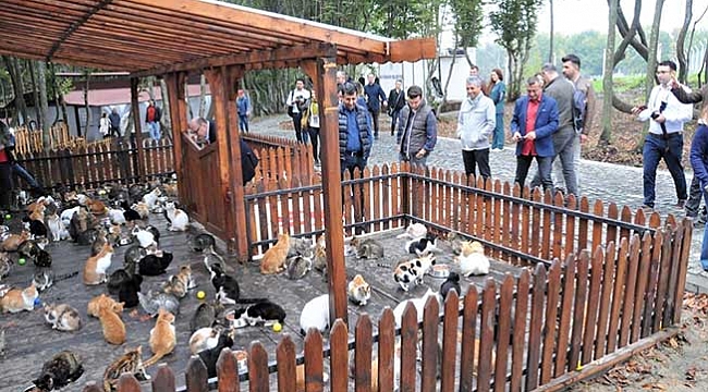 Kongre katılımcılarından merkeze tam not