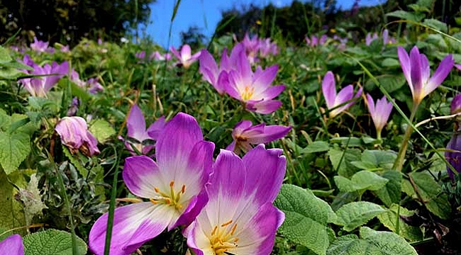 Soğuklar öncesi alarm verdi!