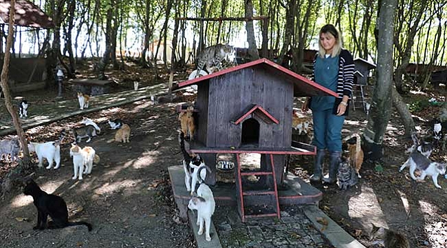 'Türk Marşı' ile yemek yiyorlar